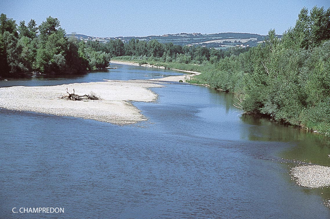 Allier