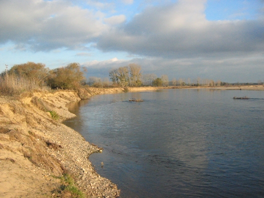 Berges de l'Allier