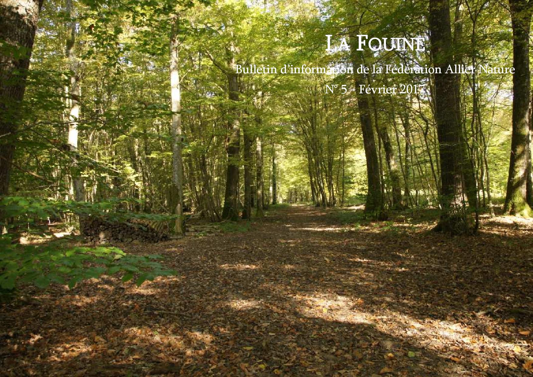 Bulletin FAN n 5 couverture site FAN