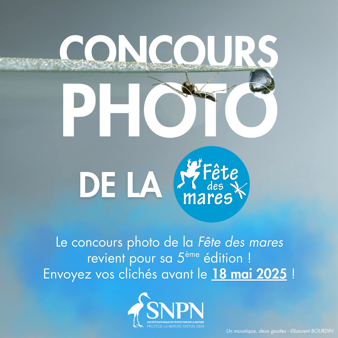 Visuel Concours photos