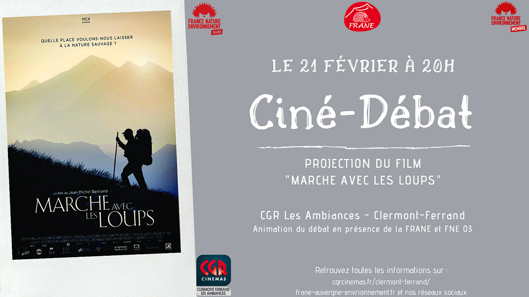 Affiche FB Marche avec les Loups Light