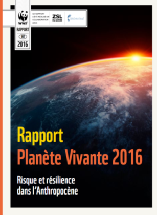 rapport WWF