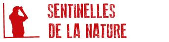 Image Sentinelles