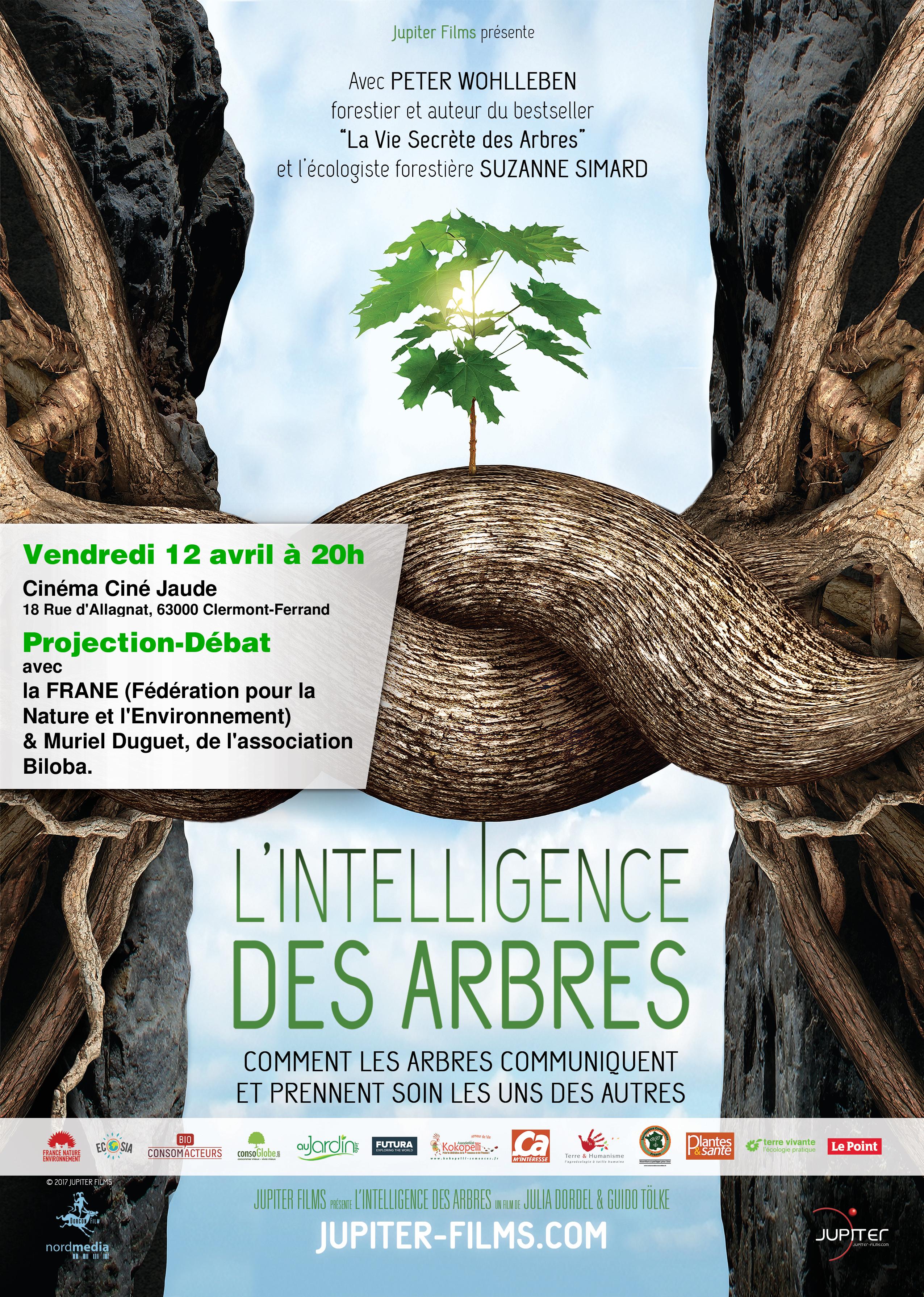 TREES AFF CLERMONT 120419